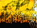piera-sagri__oro__04